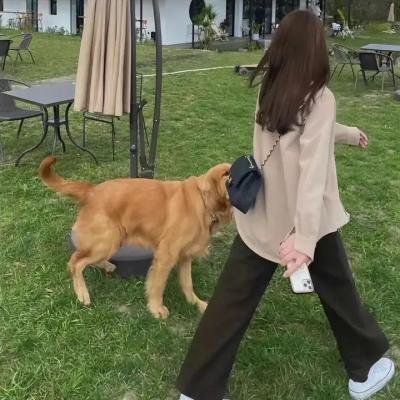 友趣的日子