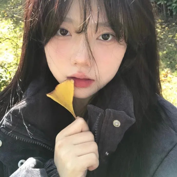 为黛茜小姐开车